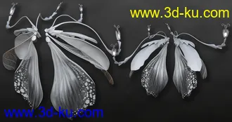 3D打印模型Arki's Wings的图片