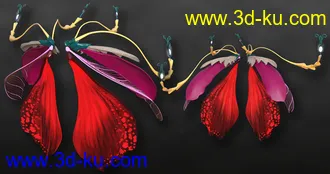 3D打印模型Arki's Wings的图片