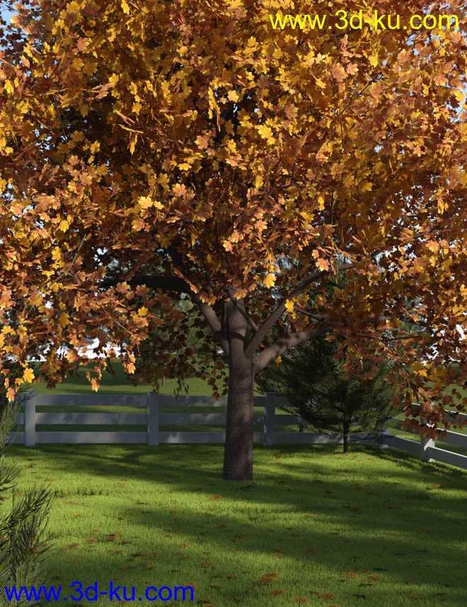Autumn Cottage模型的图片7