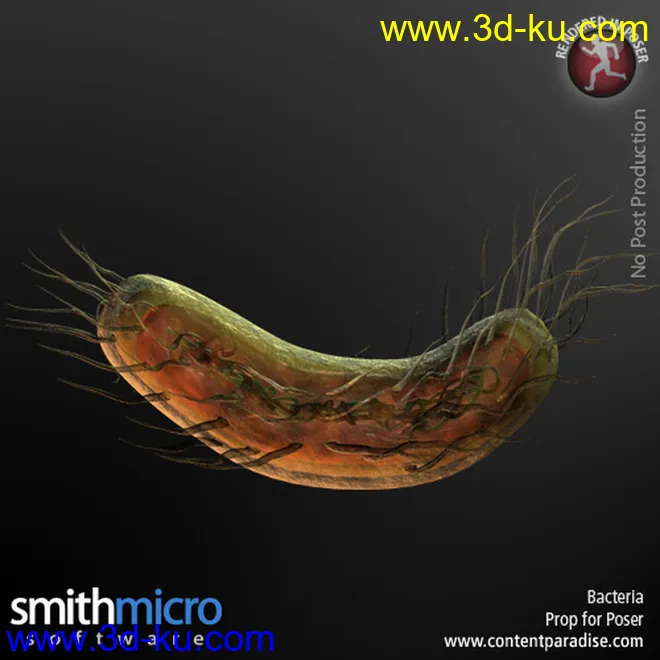 Bacteria模型的图片1