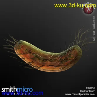 3D打印模型Bacteria的图片