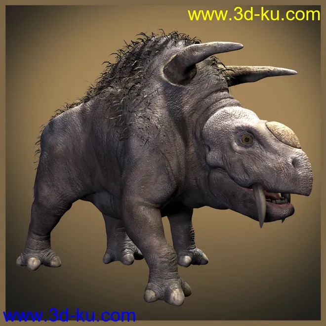 Barox DR模型的图片1