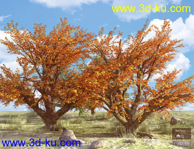 Beautiful Nature Trees模型的图片2