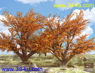 3D打印模型Beautiful Nature Trees的图片