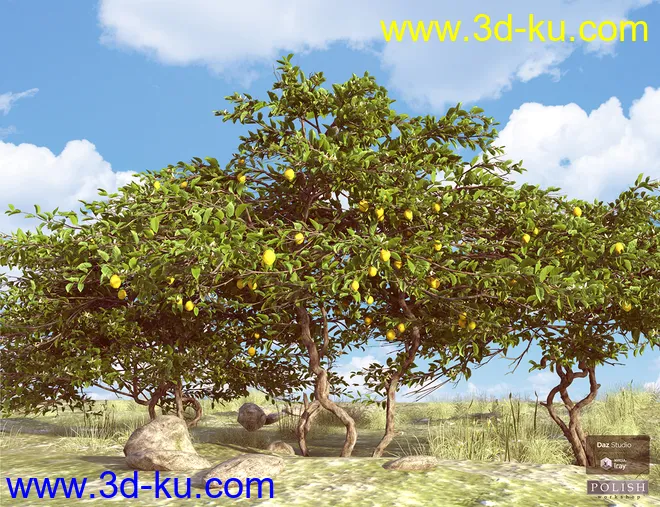 Beautiful Nature Trees模型的图片4