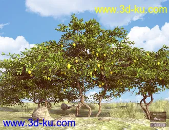 3D打印模型Beautiful Nature Trees的图片