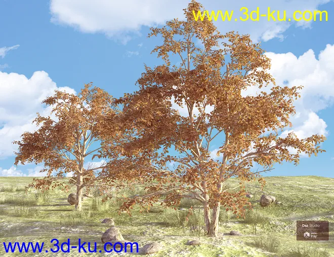 Beautiful Nature Trees模型的图片5