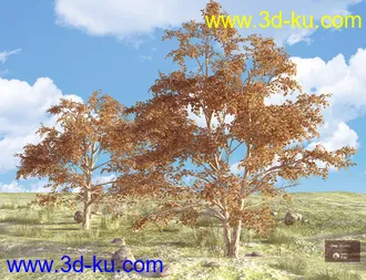 3D打印模型Beautiful Nature Trees的图片