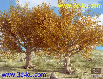 3D打印模型Beautiful Nature Trees的图片