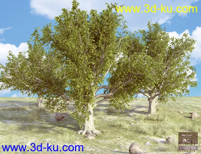 Beautiful Nature Trees模型的图片8