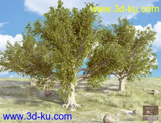 3D打印模型Beautiful Nature Trees的图片