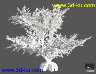3D打印模型Beautiful Nature Trees的图片