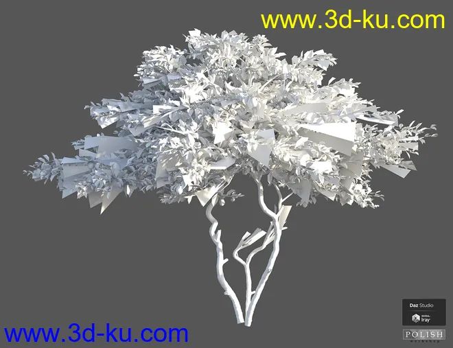 Beautiful Nature Trees模型的图片10