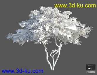 3D打印模型Beautiful Nature Trees的图片