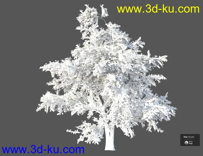 Beautiful Nature Trees模型的图片11