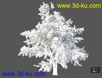 3D打印模型Beautiful Nature Trees的图片