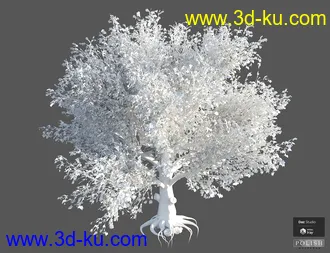 3D打印模型Beautiful Nature Trees的图片
