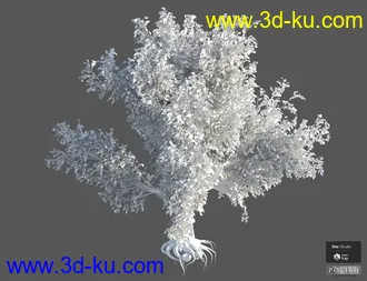 3D打印模型Beautiful Nature Trees的图片