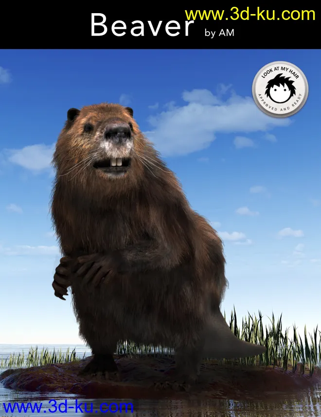 Beaver by AM模型的图片1