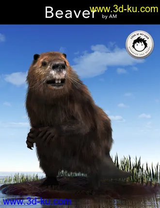 3D打印模型Beaver by AM的图片