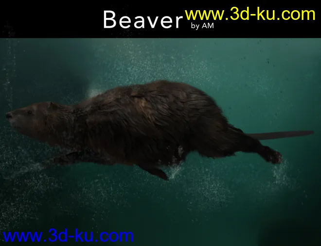 Beaver by AM模型的图片4