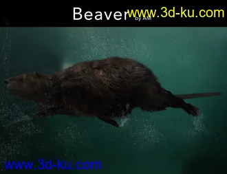 3D打印模型Beaver by AM的图片