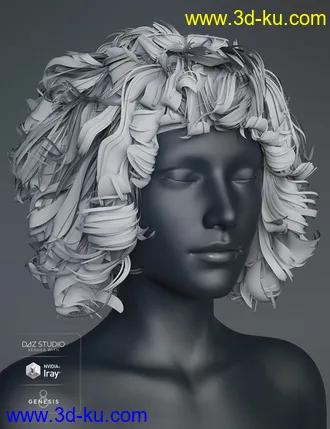 3D打印模型BeDazzle Hair for Genesis 8 Female(s)的图片