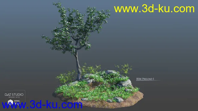Blossoming Spring Modules模型的图片9