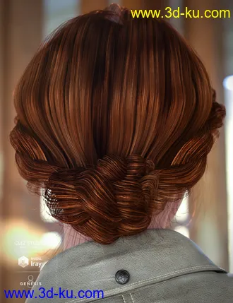 3D打印模型Braided Band Hair for Genesis 8 Female(s)的图片
