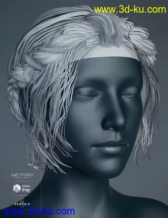 3D打印模型Braided Band Hair for Genesis 8 Female(s)的图片