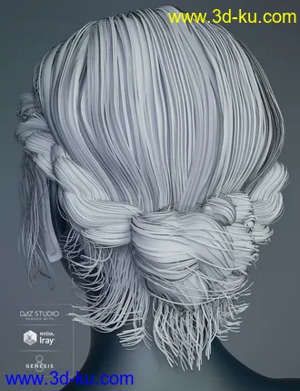 3D打印模型Braided Band Hair for Genesis 8 Female(s)的图片