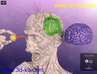 3D打印模型Brain Eater HD for Genesis 8 Male的图片