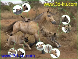 3D打印模型Canary's Cameras的图片