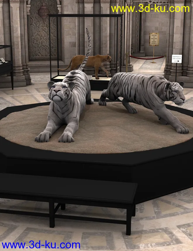 Cases For Curiosities模型的图片2