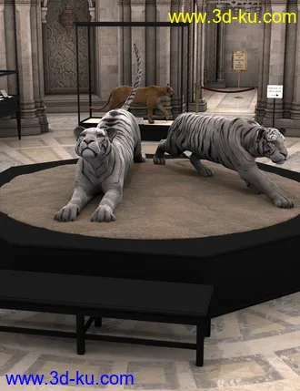 3D打印模型Cases For Curiosities的图片