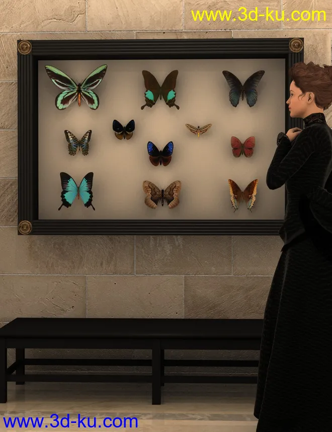 Cases For Curiosities模型的图片4