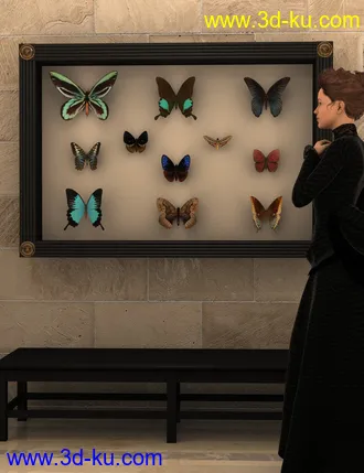 3D打印模型Cases For Curiosities的图片