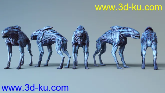 Cassius HD for Daz Dog 8模型的图片8