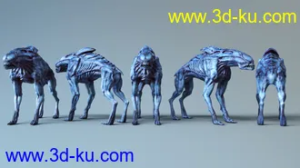 3D打印模型Cassius HD for Daz Dog 8的图片