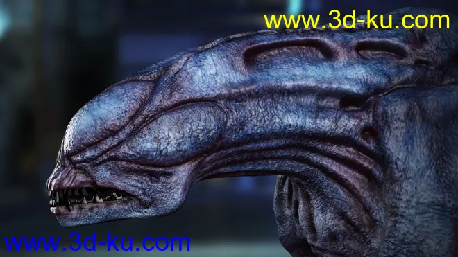 Cassius HD for Daz Dog 8模型的图片9