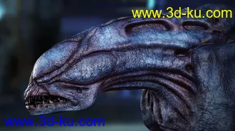 3D打印模型Cassius HD for Daz Dog 8的图片