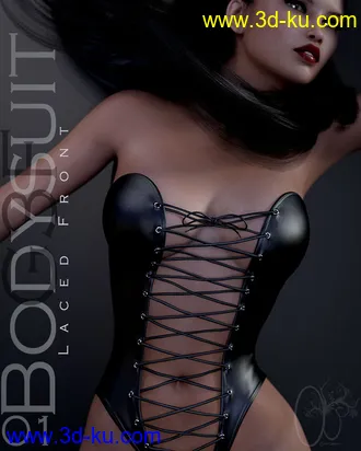 3D打印模型CB Lace Front Bodysuit 01的图片
