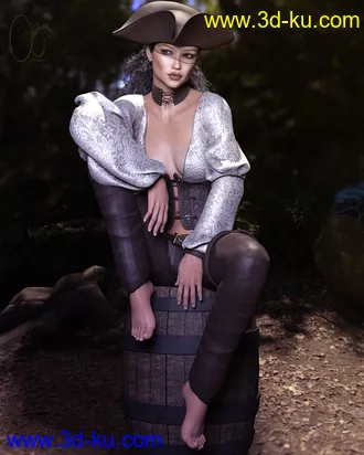 3D打印模型CB Saltair Clothing Set for Genesis 3 and 8 Female(s)的图片