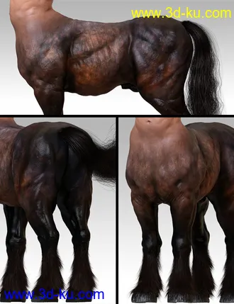 3D打印模型Centaur Maxx for Genesis 8 Male Centaur的图片