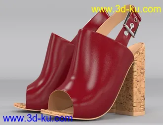3D打印模型Cork Heels for Genesis 8 Female(s)的图片