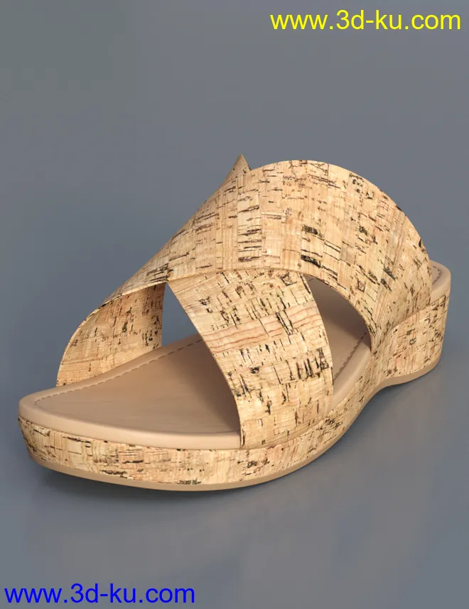 Cork Sandals for Genesis 8 Female(s)模型的图片1