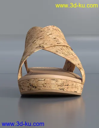 3D打印模型Cork Sandals for Genesis 8 Female(s)的图片