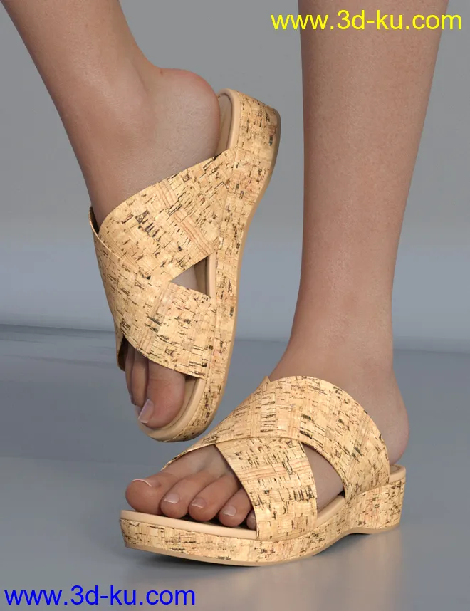 Cork Sandals for Genesis 8 Female(s)模型的图片5