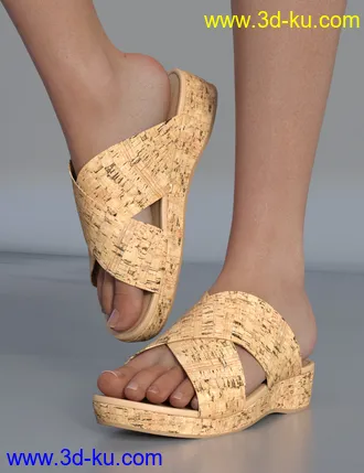 3D打印模型Cork Sandals for Genesis 8 Female(s)的图片