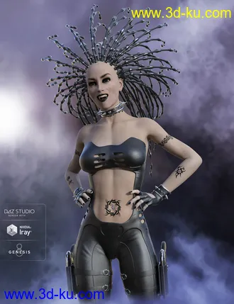 3D打印模型Cyber Hair for Genesis 8 Female(s)的图片